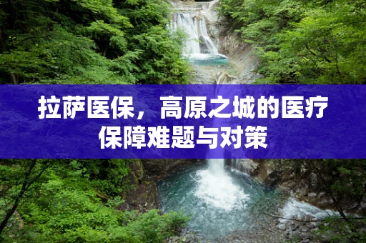 拉萨医保，高原之城的医疗保障难题与对策