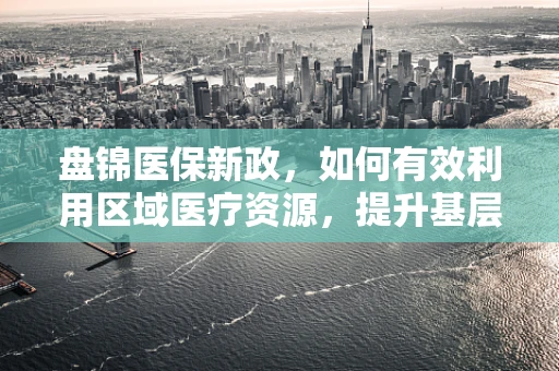 盘锦医保新政，如何有效利用区域医疗资源，提升基层医疗服务质量？