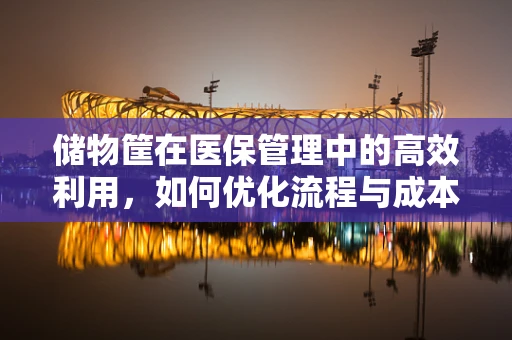 储物筐在医保管理中的高效利用，如何优化流程与成本控制？