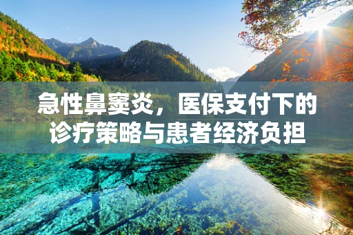 急性鼻窦炎，医保支付下的诊疗策略与患者经济负担