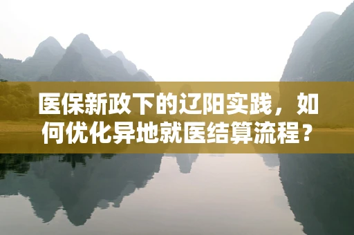 医保新政下的辽阳实践，如何优化异地就医结算流程？