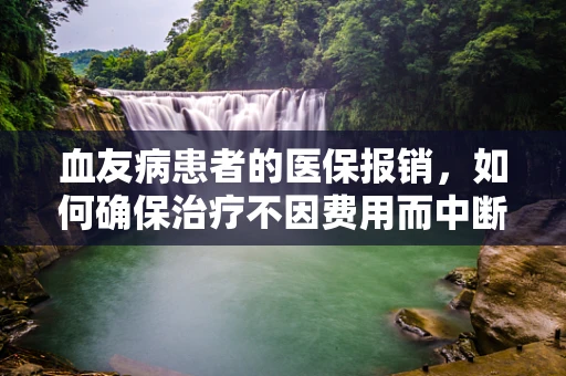 血友病患者的医保报销，如何确保治疗不因费用而中断？