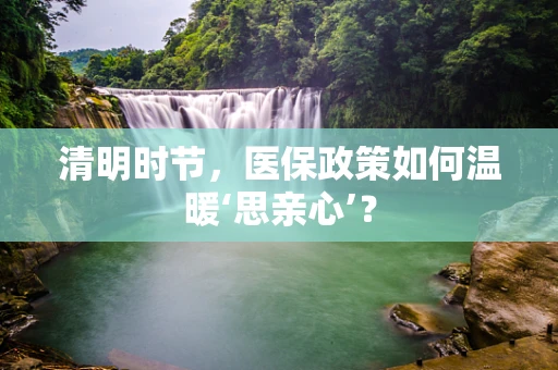 清明时节，医保政策如何温暖‘思亲心’？