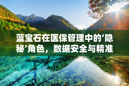 蓝宝石在医保管理中的‘隐秘’角色，数据安全与精准医疗的璀璨纽带