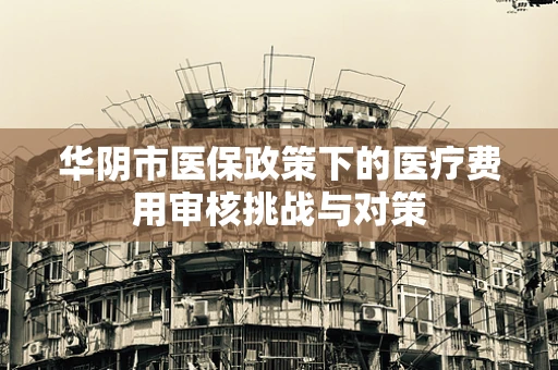 华阴市医保政策下的医疗费用审核挑战与对策