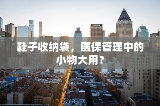 鞋子收纳袋，医保管理中的小物大用？