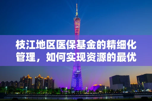 枝江地区医保基金的精细化管理，如何实现资源的最优配置？