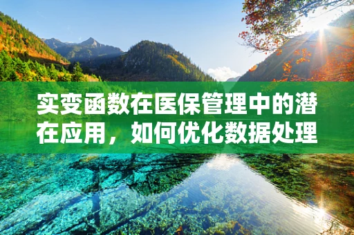 实变函数在医保管理中的潜在应用，如何优化数据处理的‘微积分’？