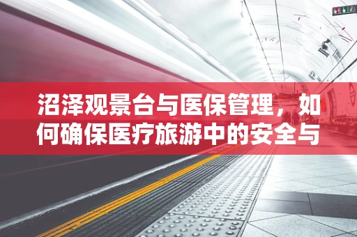 沼泽观景台与医保管理，如何确保医疗旅游中的安全与保障？