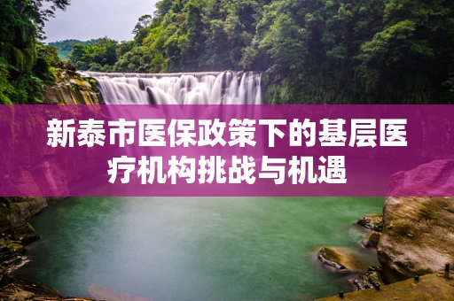 新泰市医保政策下的基层医疗机构挑战与机遇
