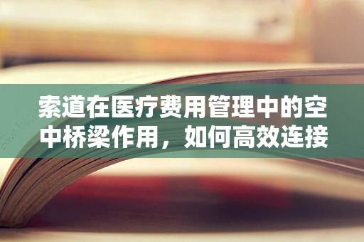 索道在医疗费用管理中的空中桥梁作用，如何高效连接患者与报销服务？