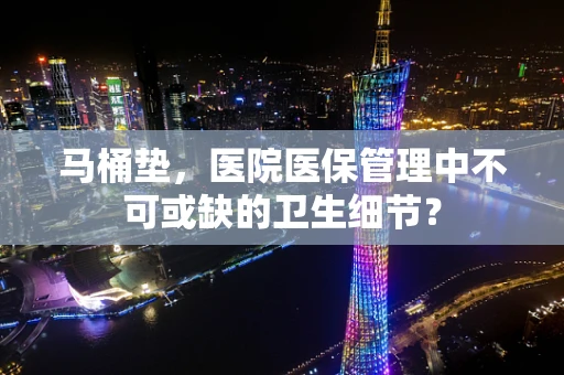 马桶垫，医院医保管理中不可或缺的卫生细节？