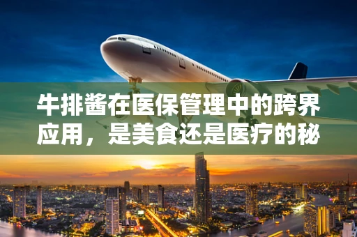 牛排酱在医保管理中的跨界应用，是美食还是医疗的秘密武器？