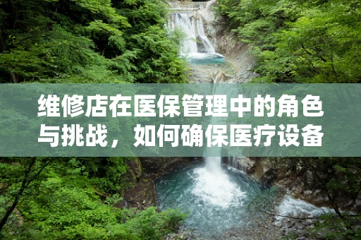 维修店在医保管理中的角色与挑战，如何确保医疗设备维修的合规性与效率？