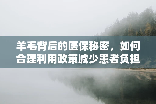羊毛背后的医保秘密，如何合理利用政策减少患者负担？