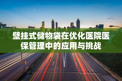 壁挂式储物袋在优化医院医保管理中的应用与挑战