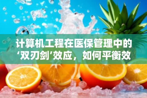 计算机工程在医保管理中的‘双刃剑’效应，如何平衡效率与安全？