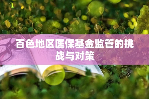 百色地区医保基金监管的挑战与对策