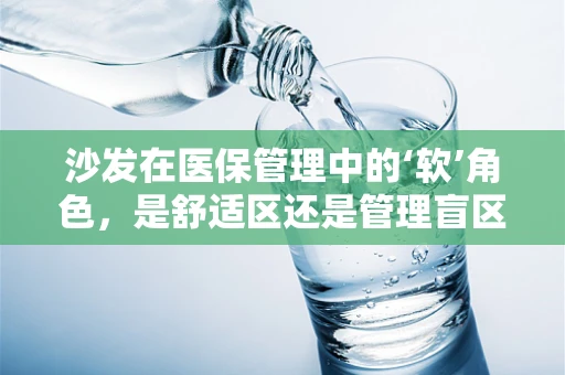 沙发在医保管理中的‘软’角色，是舒适区还是管理盲区？