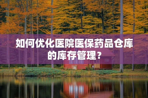 如何优化医院医保药品仓库的库存管理？