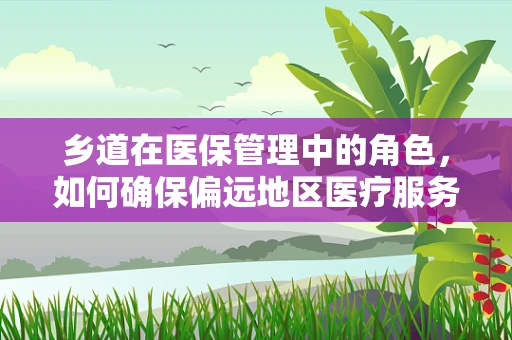 乡道在医保管理中的角色，如何确保偏远地区医疗服务的可及性与公平性？