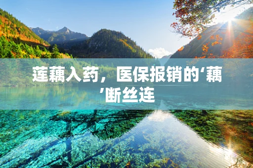 莲藕入药，医保报销的‘藕’断丝连
