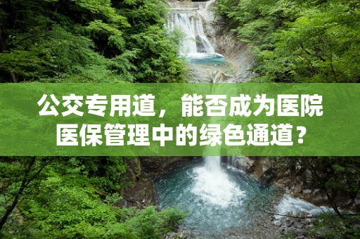 公交专用道，能否成为医院医保管理中的绿色通道？