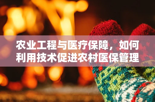 农业工程与医疗保障，如何利用技术促进农村医保管理？