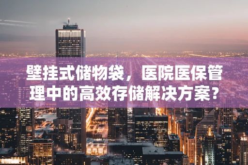 壁挂式储物袋，医院医保管理中的高效存储解决方案？