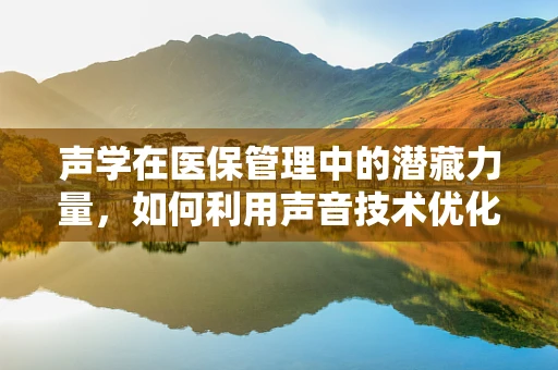声学在医保管理中的潜藏力量，如何利用声音技术优化就医流程？