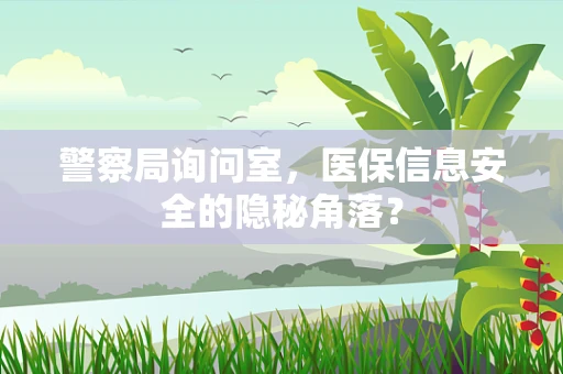 警察局询问室，医保信息安全的隐秘角落？