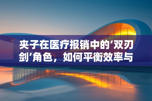 夹子在医疗报销中的‘双刃剑’角色，如何平衡效率与安全？