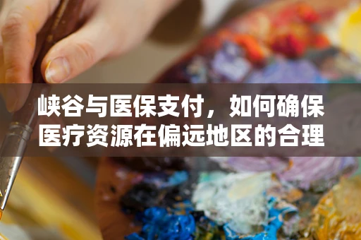 峡谷与医保支付，如何确保医疗资源在偏远地区的合理分配？