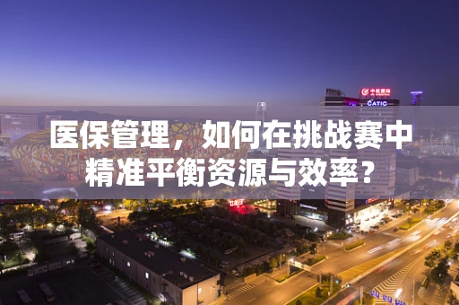 医保管理，如何在挑战赛中精准平衡资源与效率？