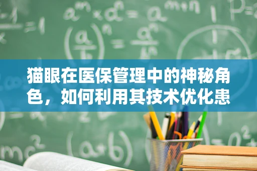 猫眼在医保管理中的神秘角色，如何利用其技术优化患者就医体验？