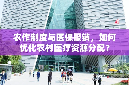 农作制度与医保报销，如何优化农村医疗资源分配？