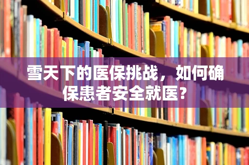 雪天下的医保挑战，如何确保患者安全就医？