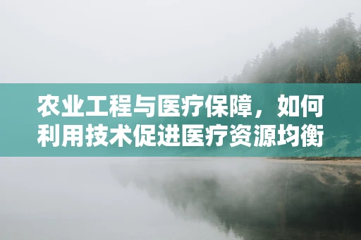 农业工程与医疗保障，如何利用技术促进医疗资源均衡？