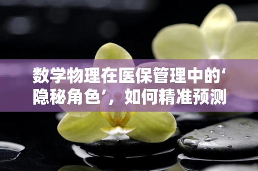 数学物理在医保管理中的‘隐秘角色’，如何精准预测医疗资源需求？
