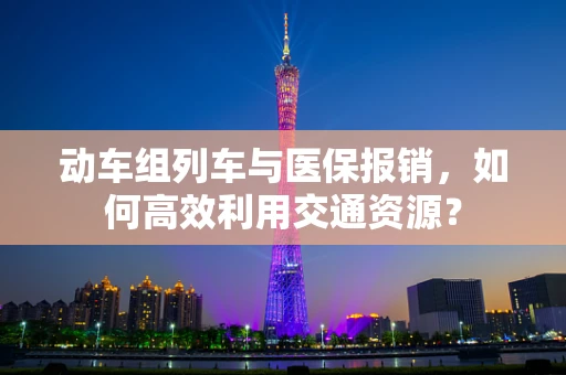 动车组列车与医保报销，如何高效利用交通资源？