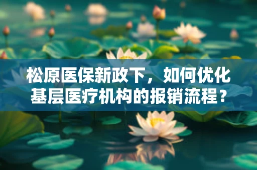 松原医保新政下，如何优化基层医疗机构的报销流程？