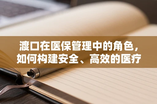 渡口在医保管理中的角色，如何构建安全、高效的医疗费用摆渡机制？