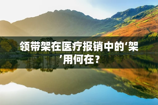 领带架在医疗报销中的‘架’用何在？