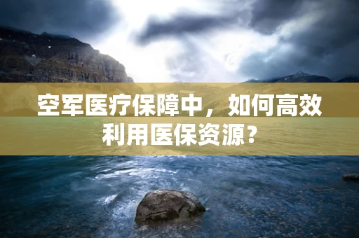 空军医疗保障中，如何高效利用医保资源？