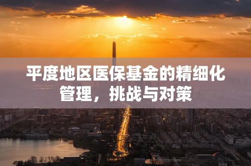 平度地区医保基金的精细化管理，挑战与对策