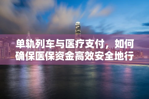 单轨列车与医疗支付，如何确保医保资金高效安全地行驶？