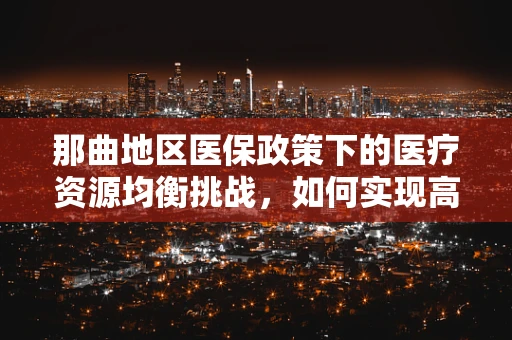 那曲地区医保政策下的医疗资源均衡挑战，如何实现高效利用？