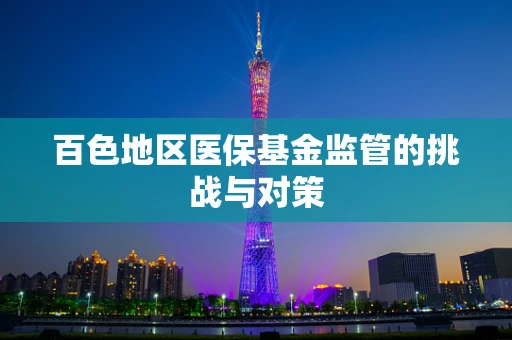 百色地区医保基金监管的挑战与对策