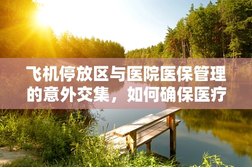 飞机停放区与医院医保管理的意外交集，如何确保医疗设备安全存放？