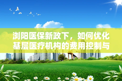 浏阳医保新政下，如何优化基层医疗机构的费用控制与服务质量？